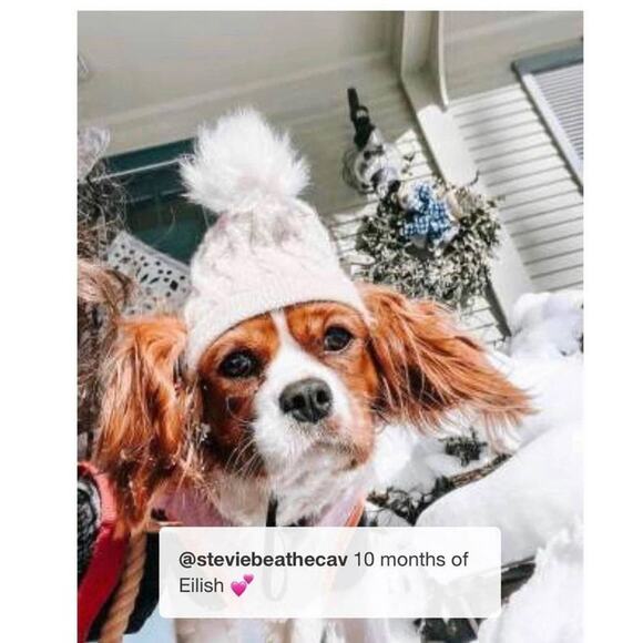 NEW Dog PET SWEATER & HAT OUTFIT SET Medium Cream Knit Boots & Barkley 2pc Set - Picture 7 of 10